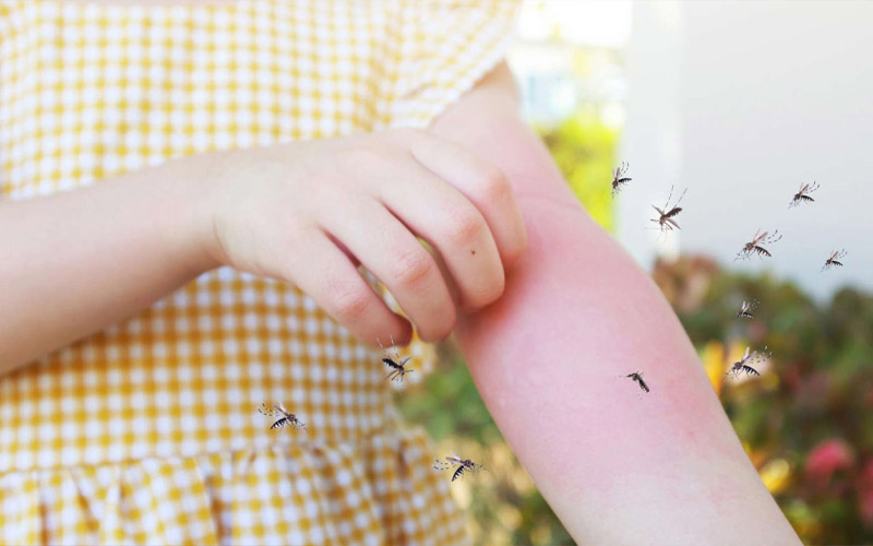 This Unexpected Perfume Is the Most Effective Mosquito Repellent Ever